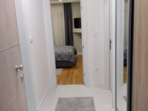 Izdavanje, jednosoban stan, 50m², Central Point, Podgorica - image 9