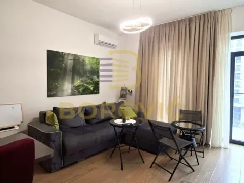 Stan in Savski Venac