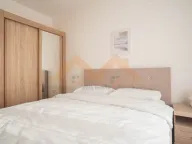 Izdavanje, jednosoban stan, 49m², Central Point, Podgorica - image 2