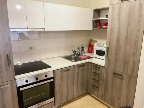 Izdavanje, jednosoban stan, 60m², Centar, Podgorica - image 7