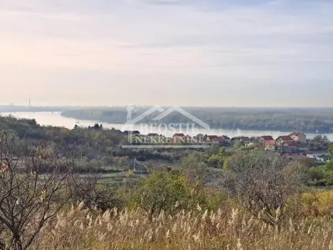 Prodaja, plac, 3000m², Višnjica, Palilula Sve Podlokacije - image 5