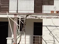 Prodaja, kuća, 240m², Ulcinj, Crna Gora - image 10