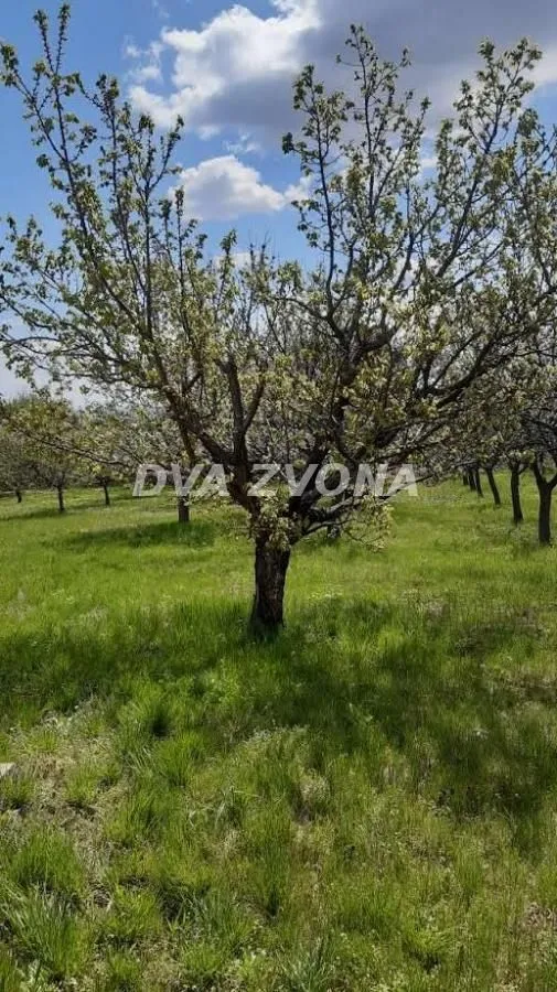 Prodaja, kuća, 38m², Irig, Srbija