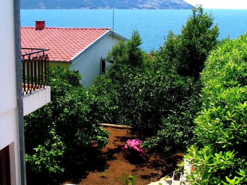 Pogled na ozelenjeno dvorište i more u pozadini.