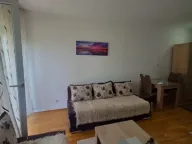 Izdavanje, garsonjera, 28m², Tuški Put, Podgorica - image 2