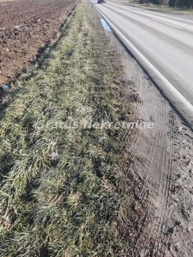Prodaja, plac, 5966m², Futog, Novi Sad Sve Podlokacije