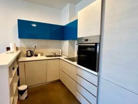 Prodaja, jednosoban stan, 47m², City Kvart, Podgorica - image 5