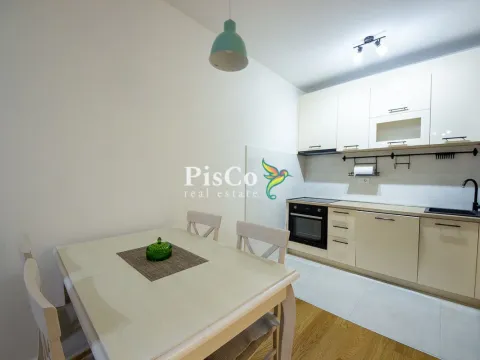 Prodaja, jednosoban stan, 49m², Central Point, Podgorica - image 9