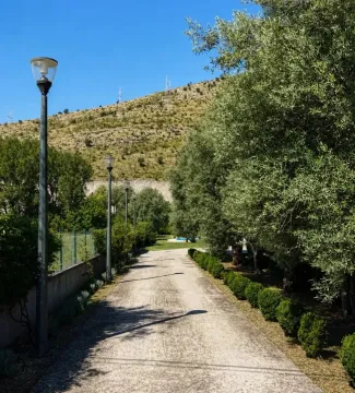Paved pathway with lighting poles and landscaped greenery in the yard. - image 6