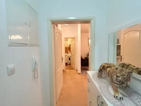 Prodaja, jednosoban stan, 55m², Ilino, Bar - image 2