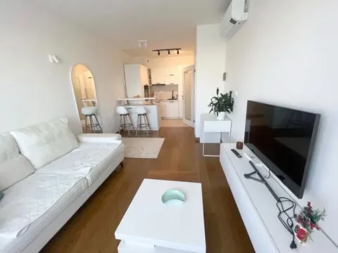 Izdavanje, jednosoban stan, 46m², Tološka šuma, Podgorica - image 2