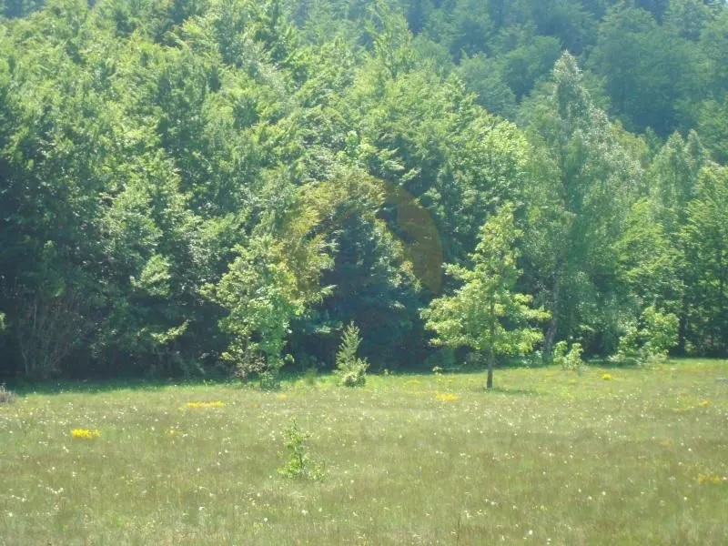 Prodaja, plac, 105000m², Plužine, Crna Gora