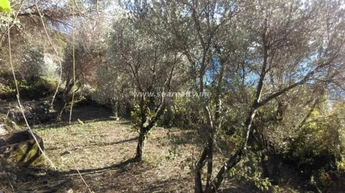 Prodaja, plac, 400m², Reževići, Budva