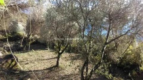 Prodaja, plac, 400m², Reževići, Budva - image 2