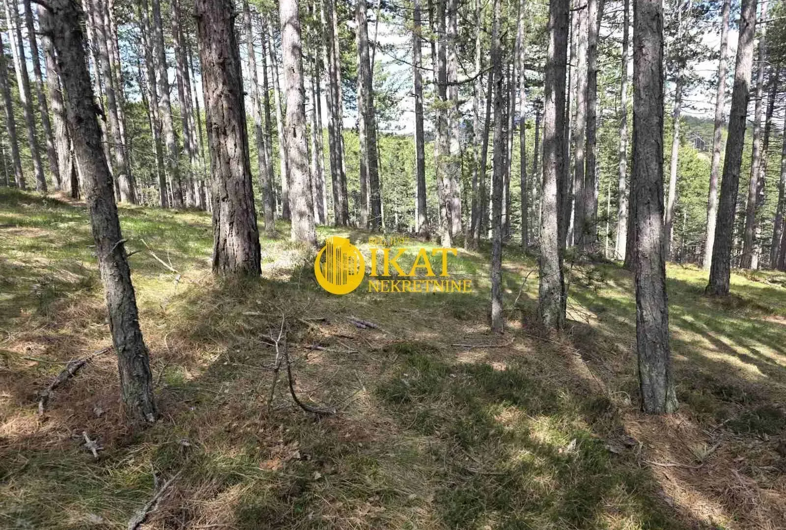 Prodaja, plac, 1272m², Tara, Srbija