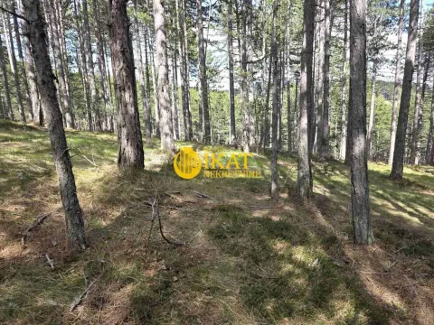 Prodaja, plac, 1272m², Tara, Srbija - image 8