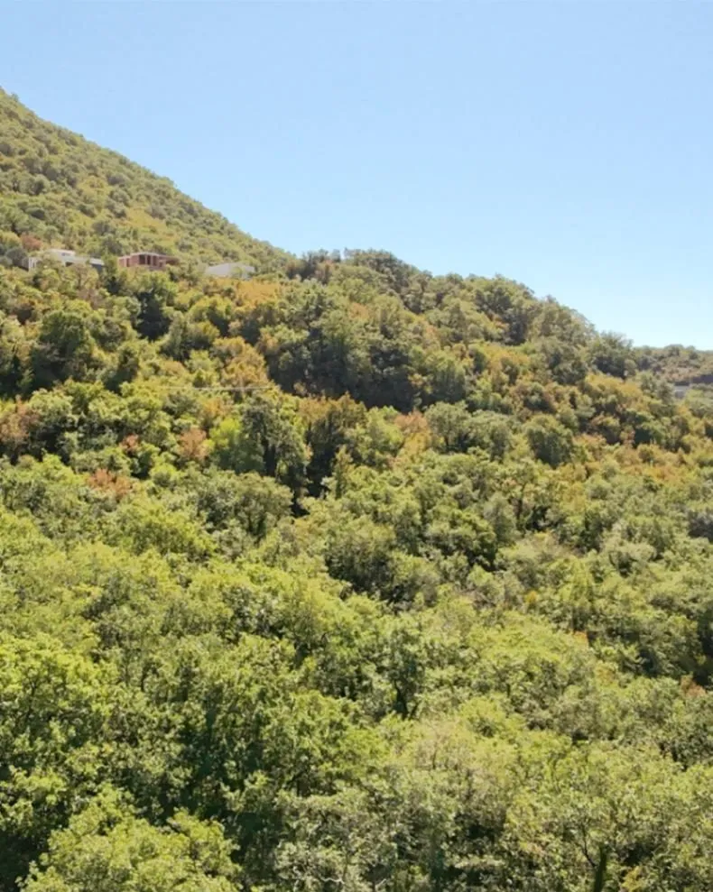 Prodaja, plac, 3735m², Župci, Bar