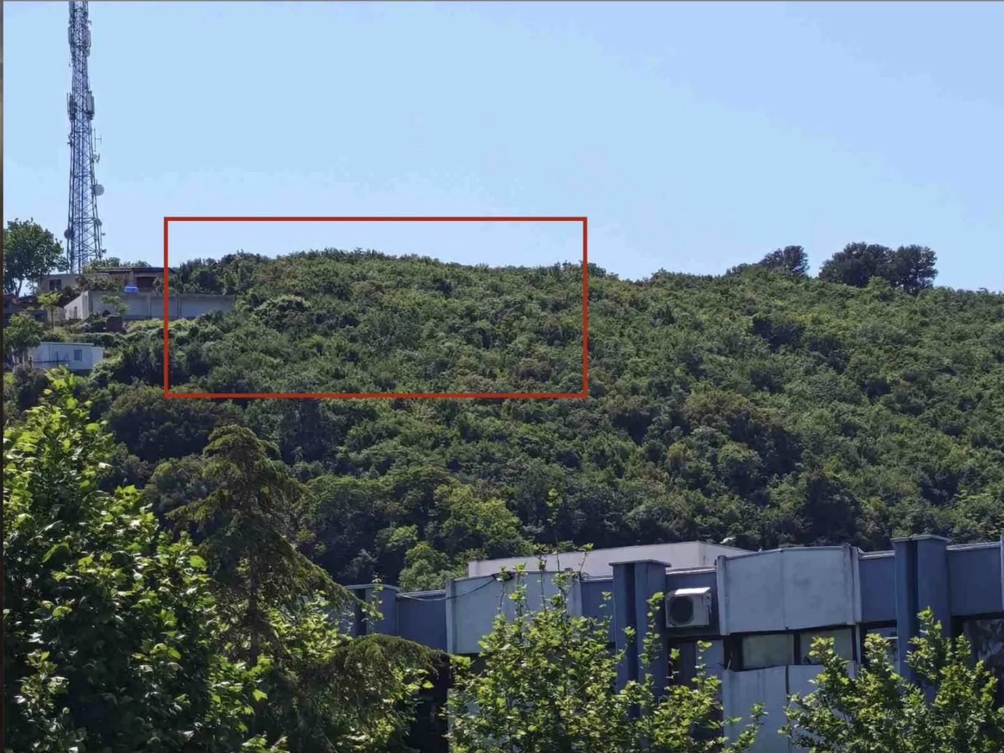Pogled na šumoviti teren i okruženje sa označenom lokacijom.