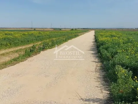 Prodaja, plac, 6156m², Batajnica, Beograd - image 3