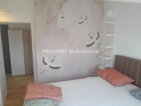 Izdavanje, dvosoban stan, 57m², Surčin, Beograd - image 3