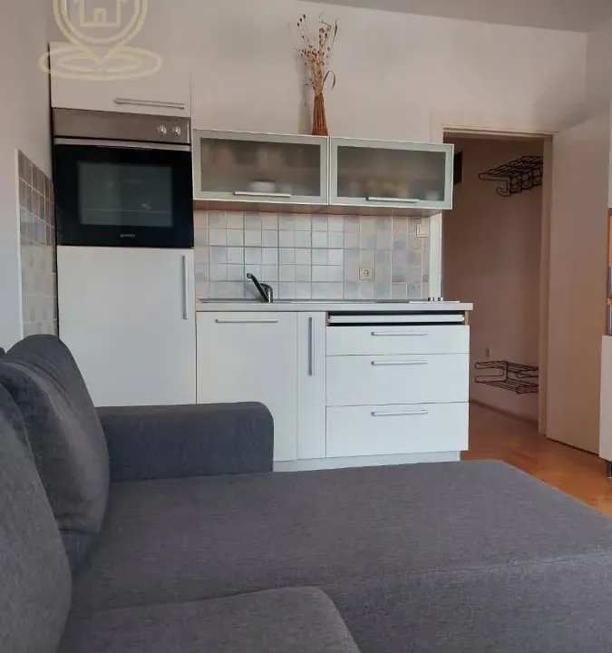 Izdavanje, garsonjera, 23m², Grbavica, Novi Sad Sve Podlokacije
