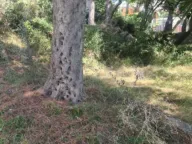 Sale, land lot, 205m², Ratac, Bar - image 5