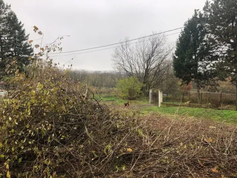 Prodaja, plac, 1000m², Grocka, Beograd - image 6