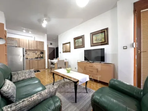 Rent, one bedroom apartment, 40m², Momišići, Podgorica - image 2