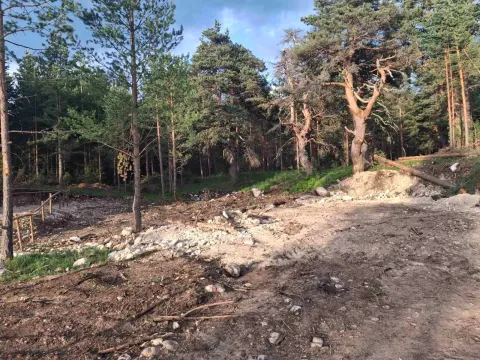 Prodaja, plac, 1150m², Žabljak, Crna Gora - image 8