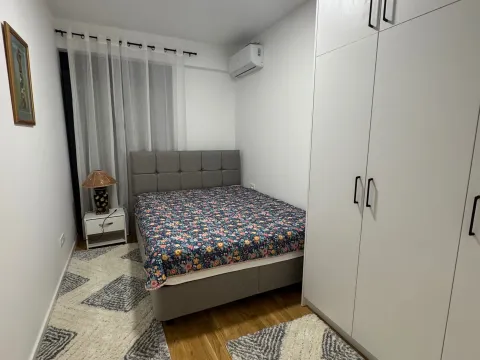 Izdavanje, dvosoban stan, 65m², Stari Aerodrom, Podgorica - image 9