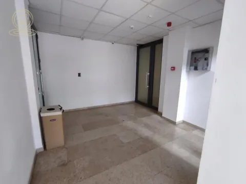 Rent, office space, 200m², Bulevar Oslobodjenja, Novi Sad Sve Podlokacije - image 4