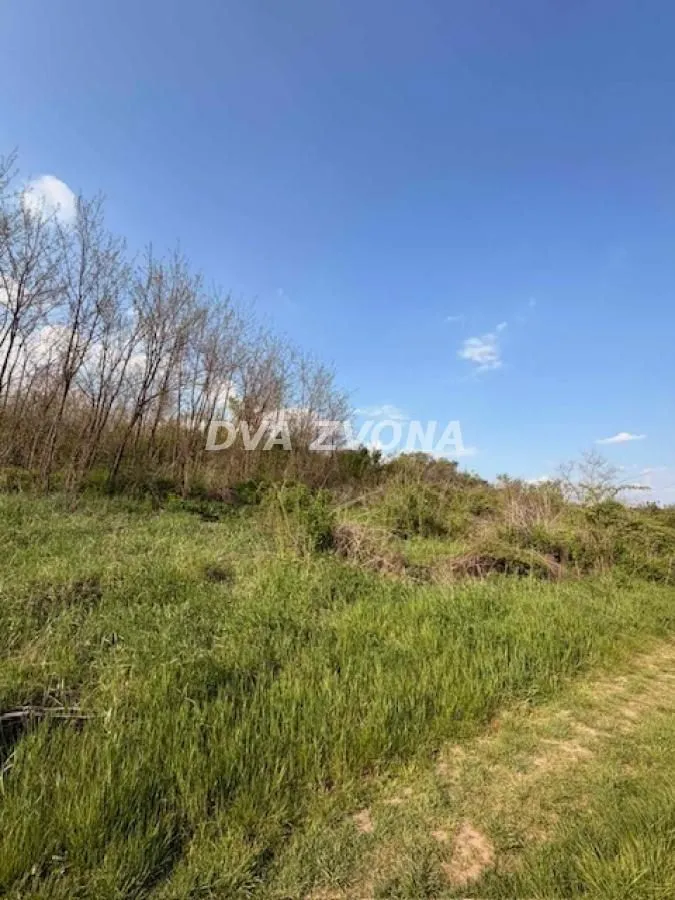 Prodaja, plac, 3500m², Čortanovci, Inđija