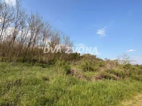 Prodaja, plac, 3500m², Čortanovci, Inđija - image 3