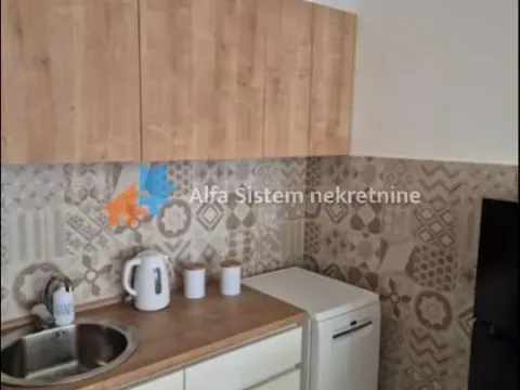 Rent, two bedroom apartment, 50m², Južni Bulevar, Vračar Sve Podlokacije - image 4