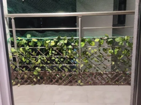 Rent, two bedroom apartment, 40m², Salajka, Novi Sad Sve Podlokacije - image 7