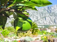 Sale, house, 100m², Prčanj, Kotor - image 21