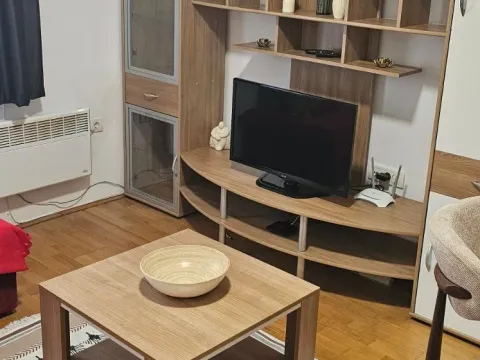 Izdavanje, jednosoban stan, 40m², Ljubović, Podgorica - image 7