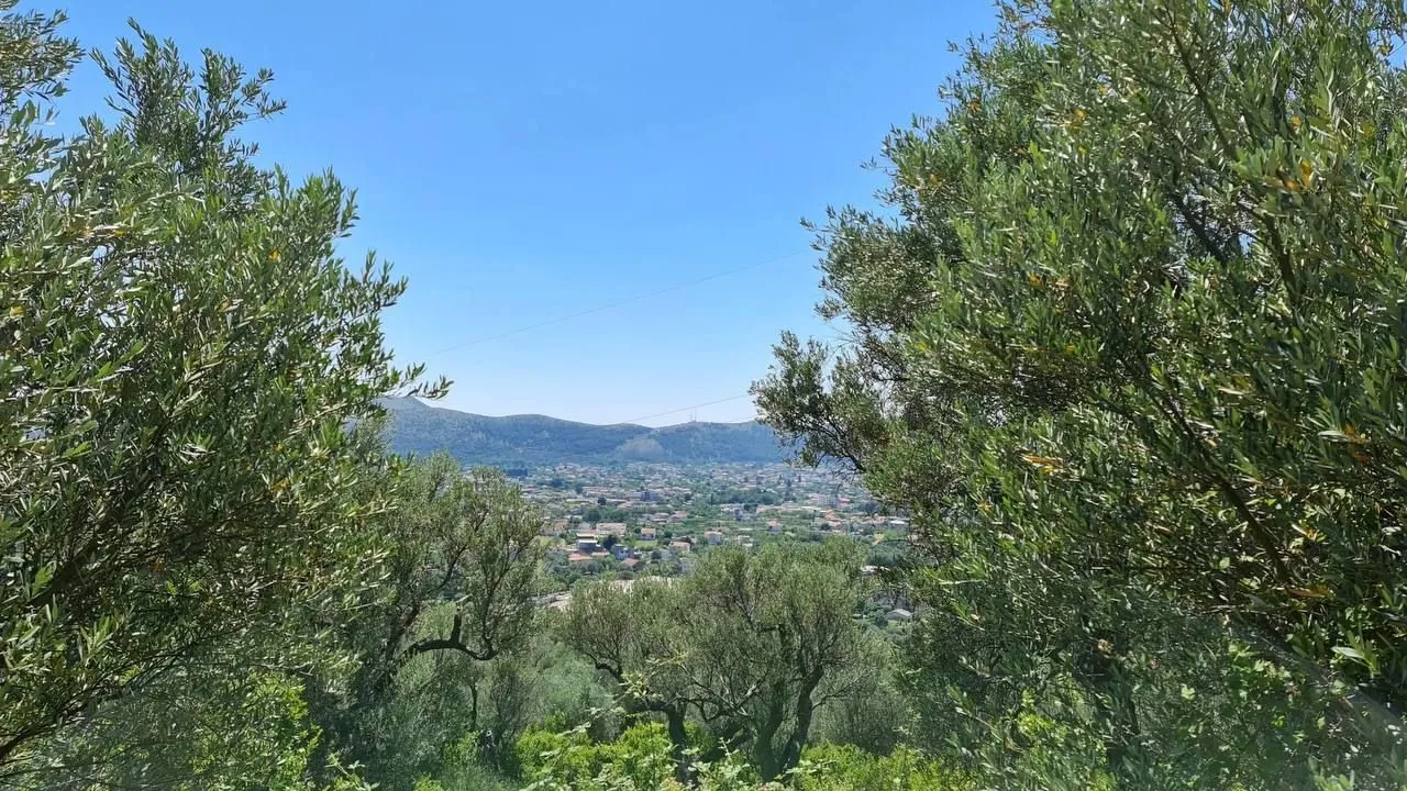 Prodaja, plac, 10000m², Centar, Bar