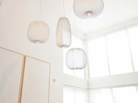 Prodaja, kuća, 360m², Petrovaradin, Novi Sad - image 3