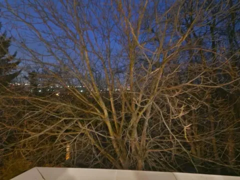 Rent, two bedroom apartment, 52m², Zeleno Brdo, Zvezdara Sve Podlokacije - image 13