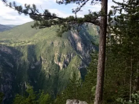 Slikovit pogled na planinski kanjon i šumu. - image 2