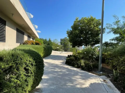 Landscaped courtyard with a pathway and greenery next to the building. - image 19