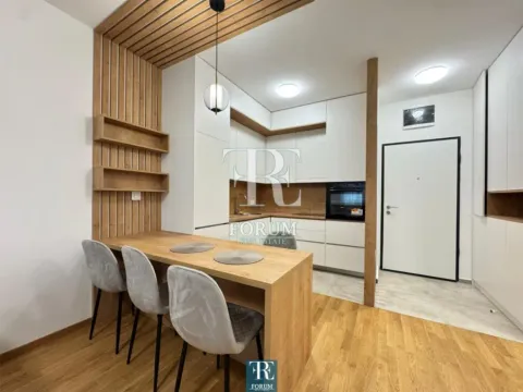 Izdavanje, jednosoban stan, 45m², Stari Aerodrom, Podgorica - image 5