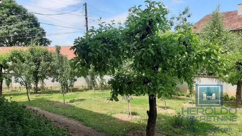 Prodaja, kuća, 500m², Despotovac, Srbija