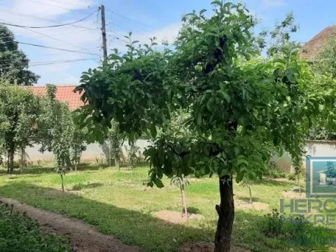 Prodaja, kuća, 500m², Despotovac, Srbija - image 7