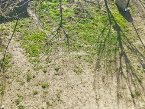 Prodaja, kuća, 359m², Pančevo, Srbija - image 16