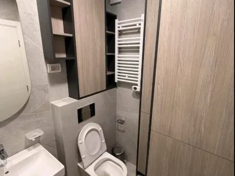 Izdavanje, jednosoban stan, 49m², Central Point, Podgorica - image 10