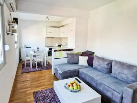 Rent, one bedroom apartment, 45m², Stari Aerodrom, Podgorica - image 1