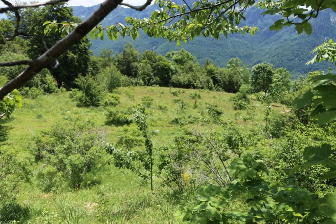Prodaja, plac, 45000m², Gornje Lipovo, Kolašin