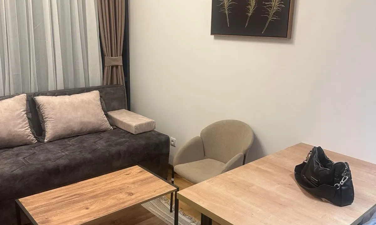 Rent, studio apartment, 24m², Zabjelo, Podgorica